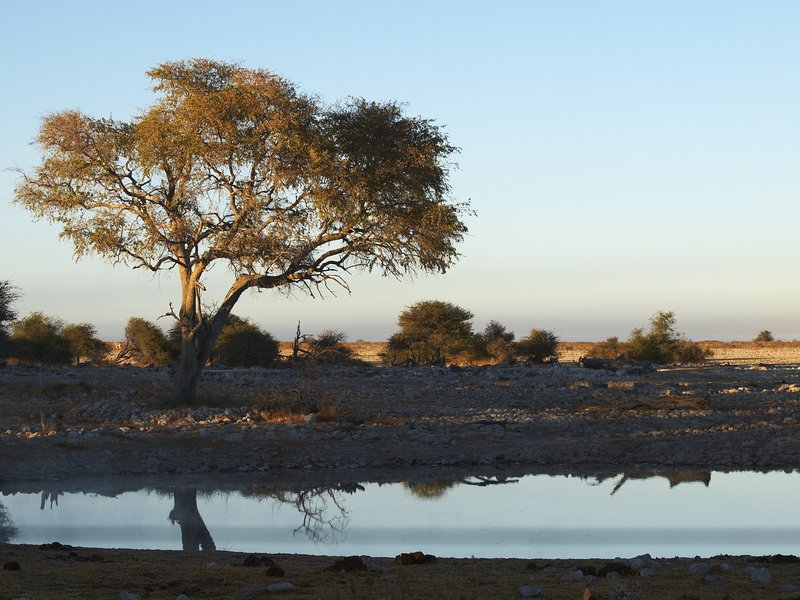 Etosha National Park, Okaukuejo